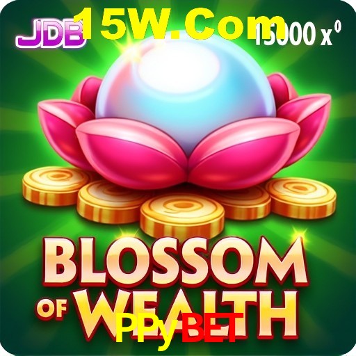 Crash Games Strategies PPybet